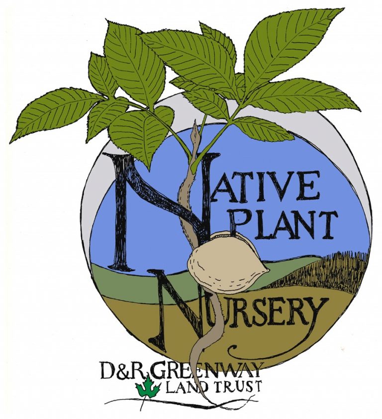 Native Plant Nursery Logo best D&R Greenway